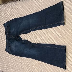 The Limited bootcut jeans 10P